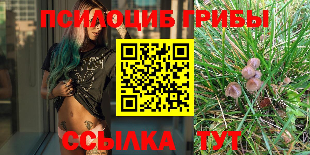 Каменка  Псилоцибиновые грибы Psilocybe  Вход с VPN 