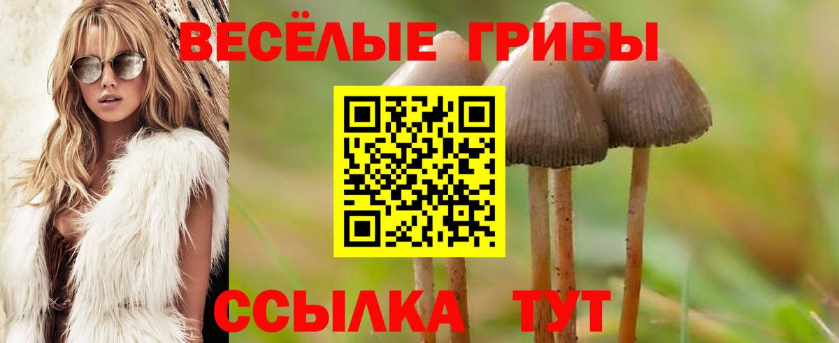 Галлюциногенные грибы мухоморы Каменка